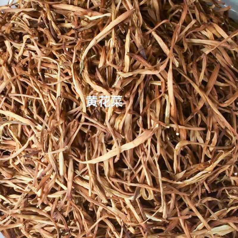 直条黄花菜针织菇产地直接发货