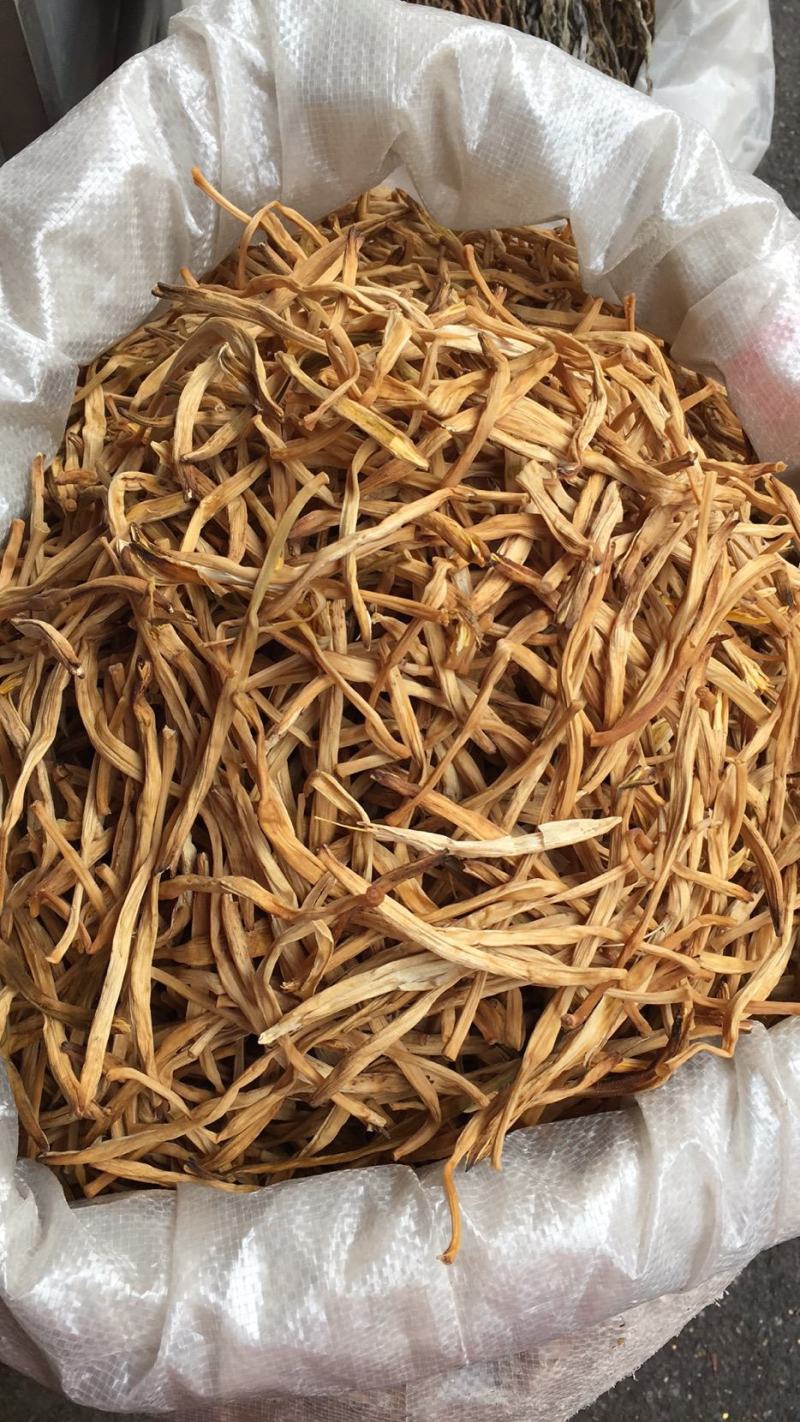 直条黄花菜针织菇产地直接发货