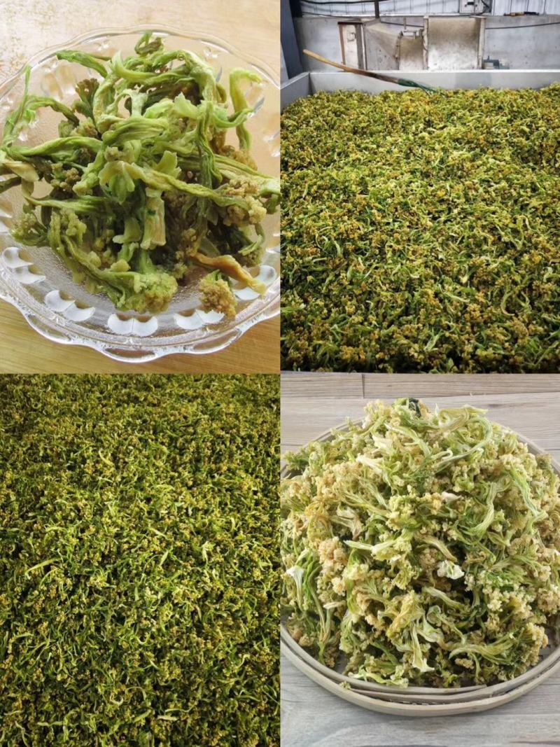 【热】干花菜口感好质量保证全国发货欢迎老板联系