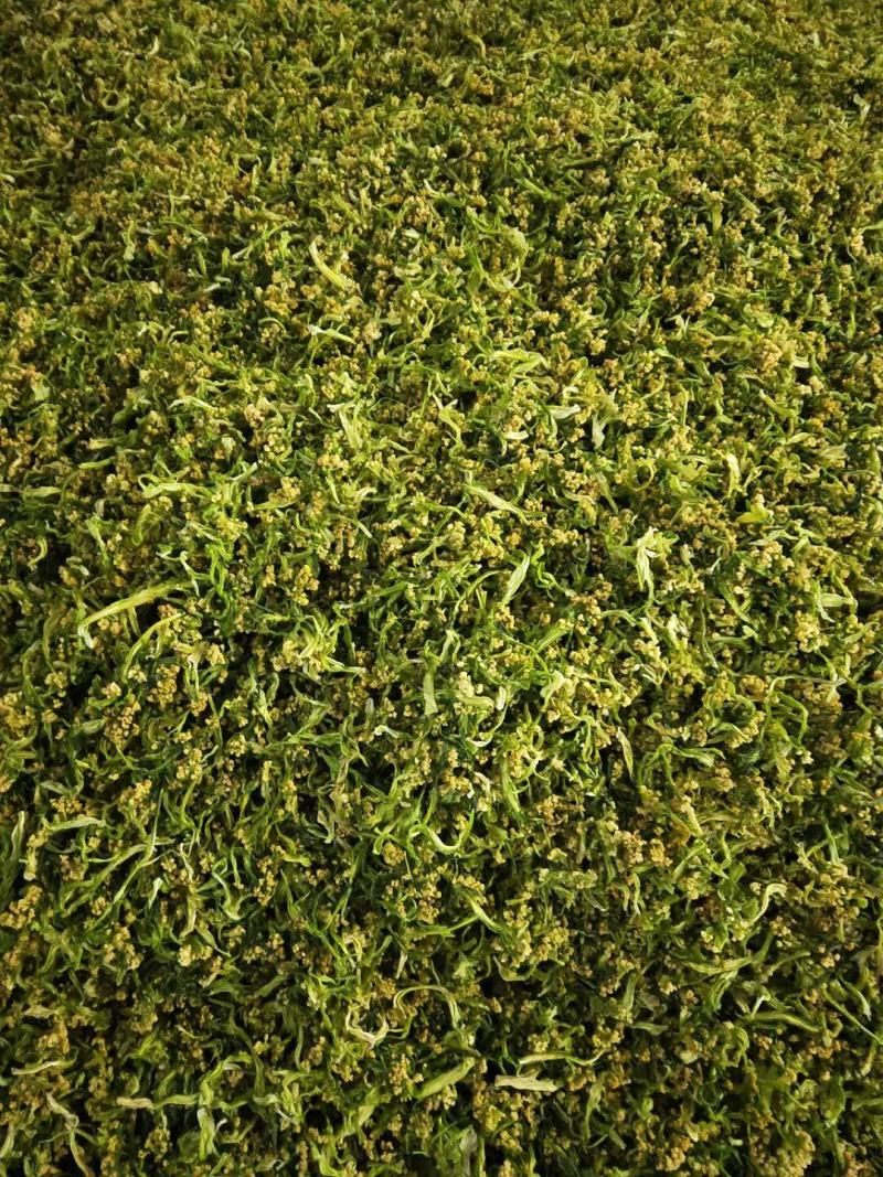 【热】干花菜口感好质量保证全国发货欢迎老板联系