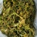 【热】干花菜口感好质量保证全国发货欢迎老板联系