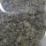 艾草干货中草药干净无杂质量大从优常年经营各种中药材