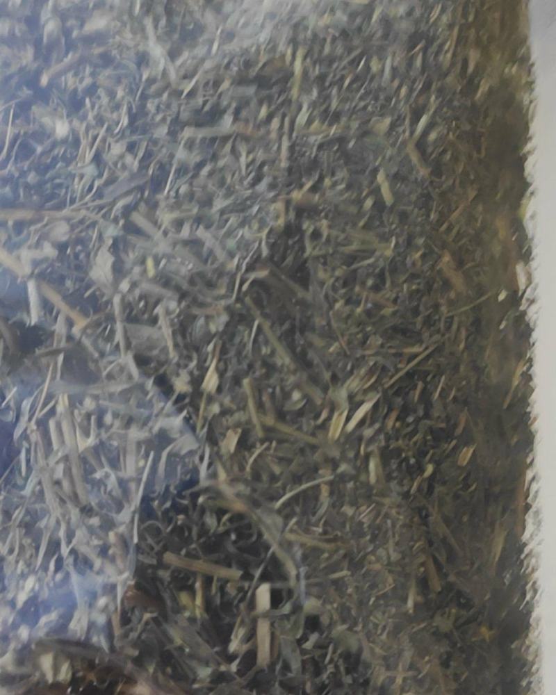 透骨草干货常年经营各种中药材
