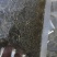 透骨草干货常年经营各种中药材