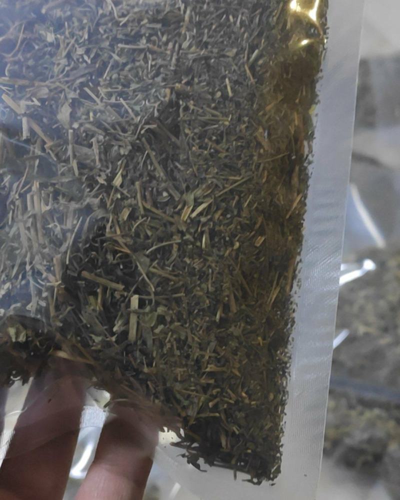 透骨草干货常年经营各种中药材