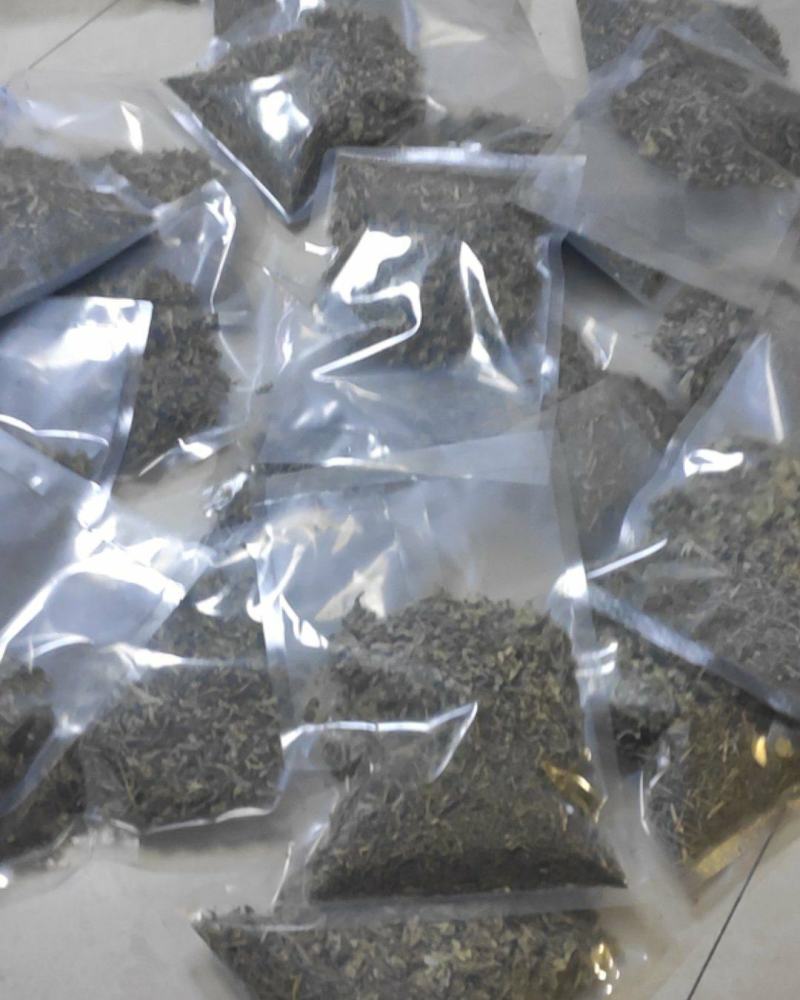 透骨草干货常年经营各种中药材