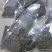 透骨草干货常年经营各种中药材
