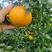 爱媛38果冻橙，纯甜，无籽，欢迎品尝购买，，，