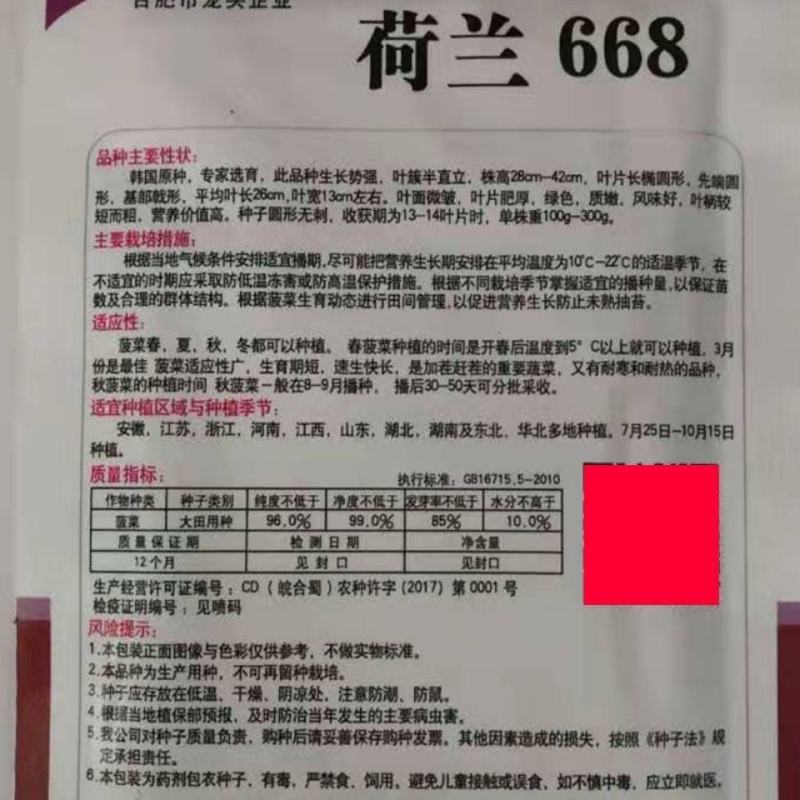 荷兰668菠菜种子叶片肥厚质嫩，四季长势强蔬菜种子