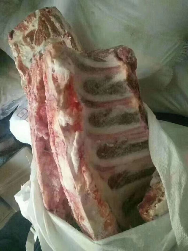多肉牛排，各种牛骨头，，常年加工天天有现货