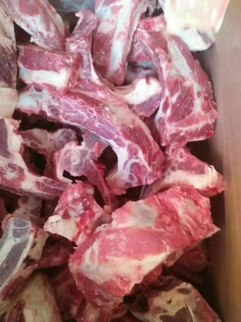 多肉牛排，各种牛骨头，，常年加工天天有现货