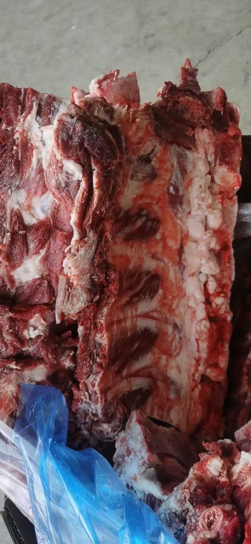 多肉牛排，各种牛骨头，，常年加工天天有现货