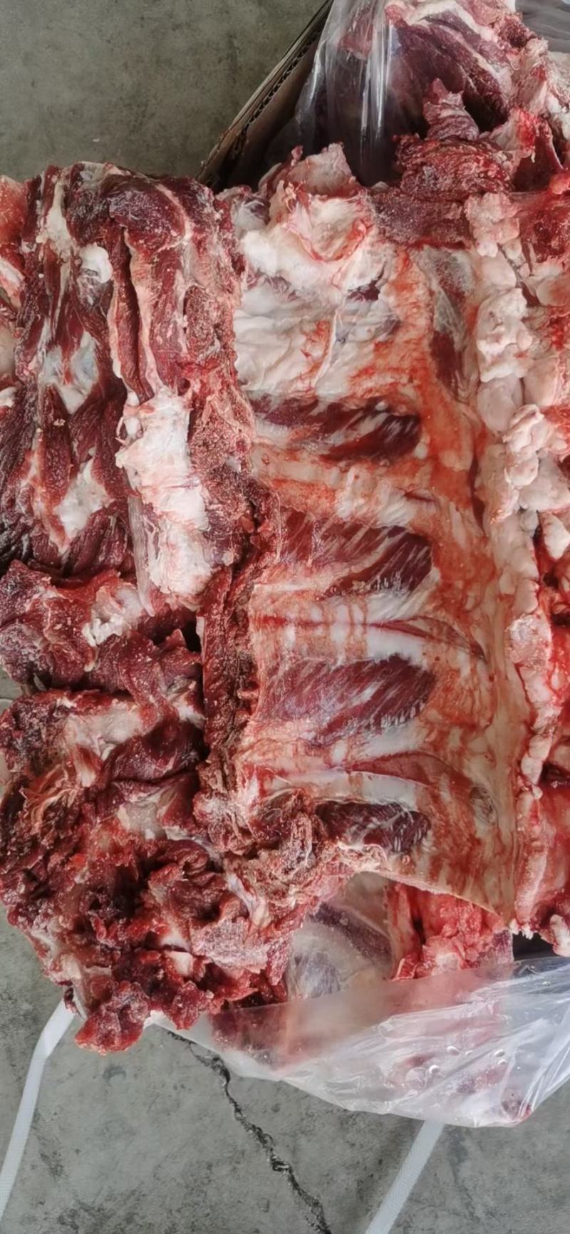 多肉牛排，各种牛骨头，，常年加工天天有现货