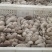 河南平菇平菇菌棒食用菌