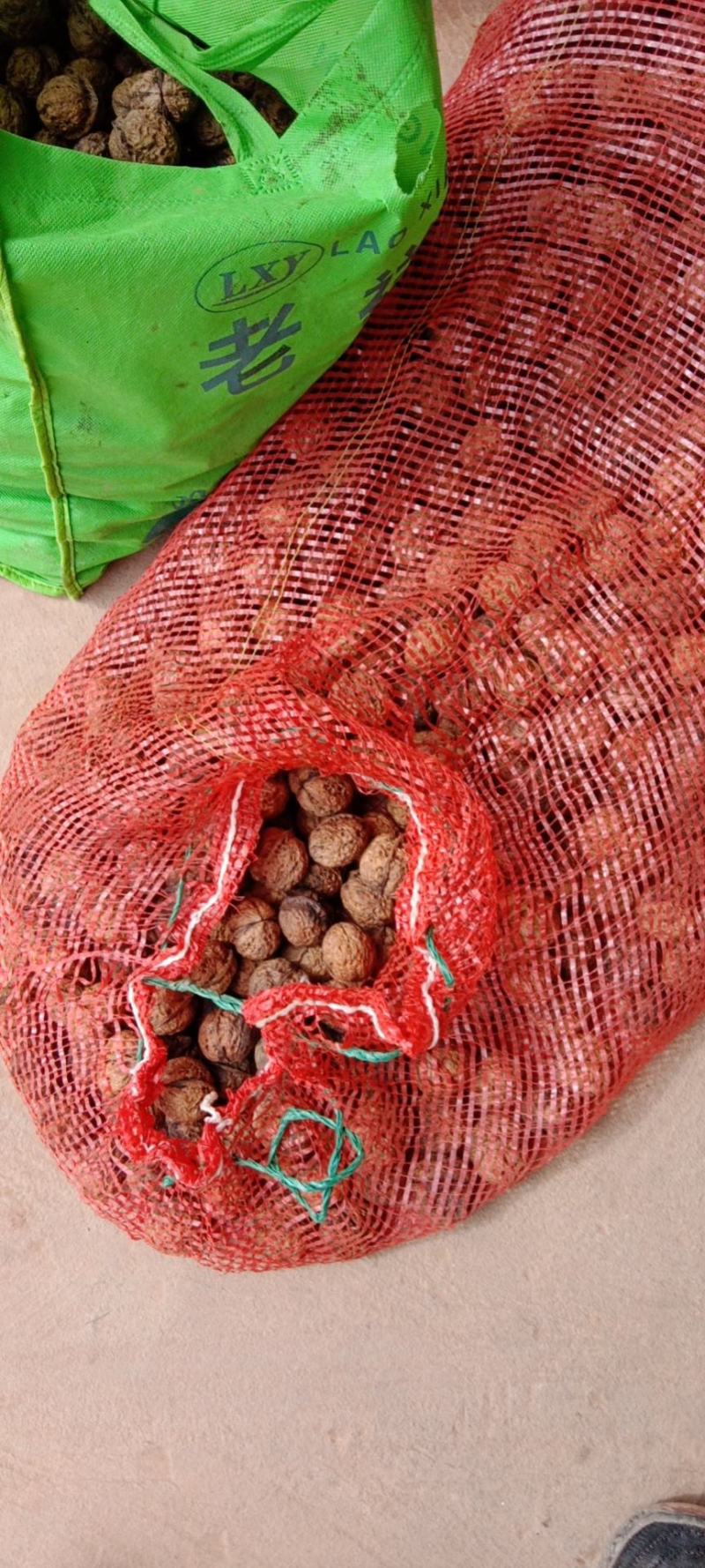 核桃榨油核桃云南榨油核桃果十吨起批量大价格从优。