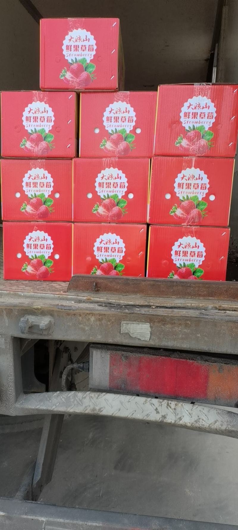 凉山草莓奶油草莓口感香甜一件代发新鲜直达