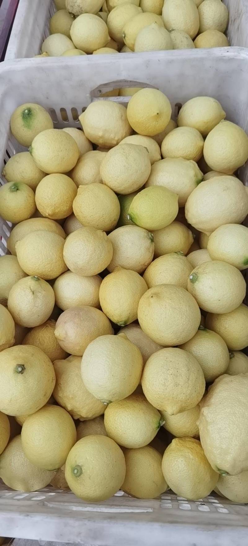 优力克黄果通货柠檬食用护肤天然无任何添加剂放心使用