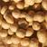 小土豆黄心2-4两大量上，陕北产地优质沙地品种热销中