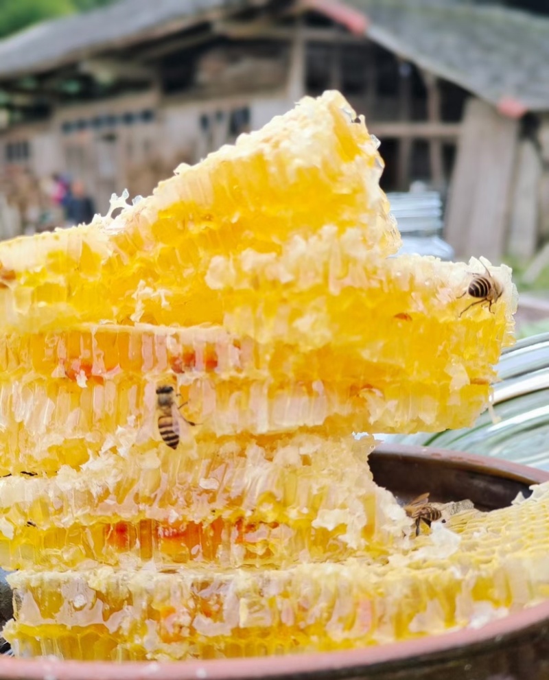 高山土蜂蜜