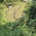 高山土蜂蜜