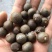 绿茶种子特早茶种子耐寒茶叶种子茶树籽各种茶叶种子