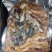 羔羊排，羊肉卷，羊杂，各种羊产品，常年加工，一手货源