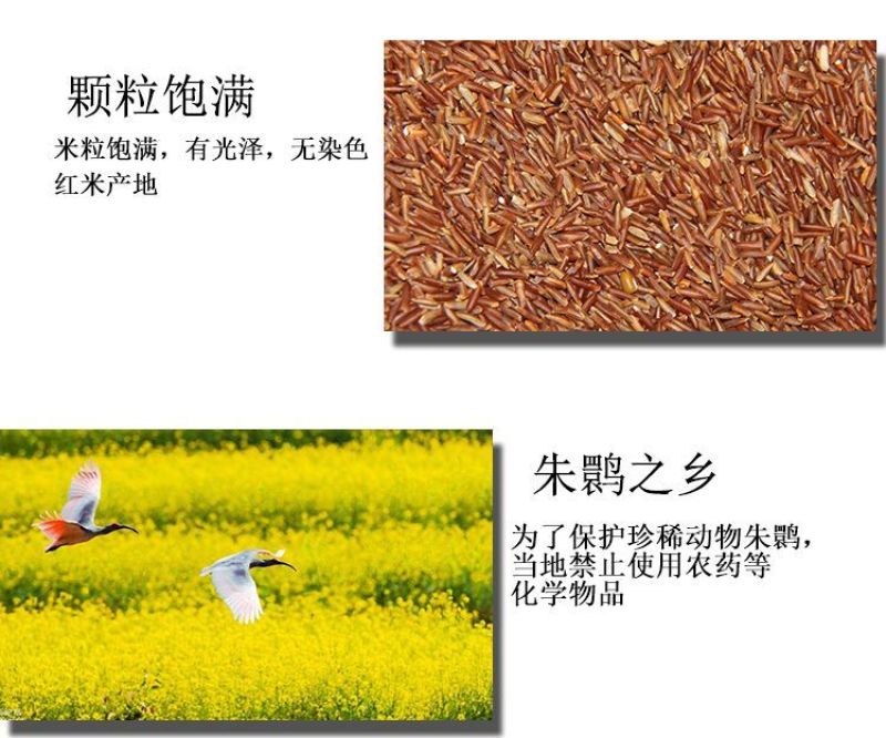 陕西土特产洋县羚牛红米、
