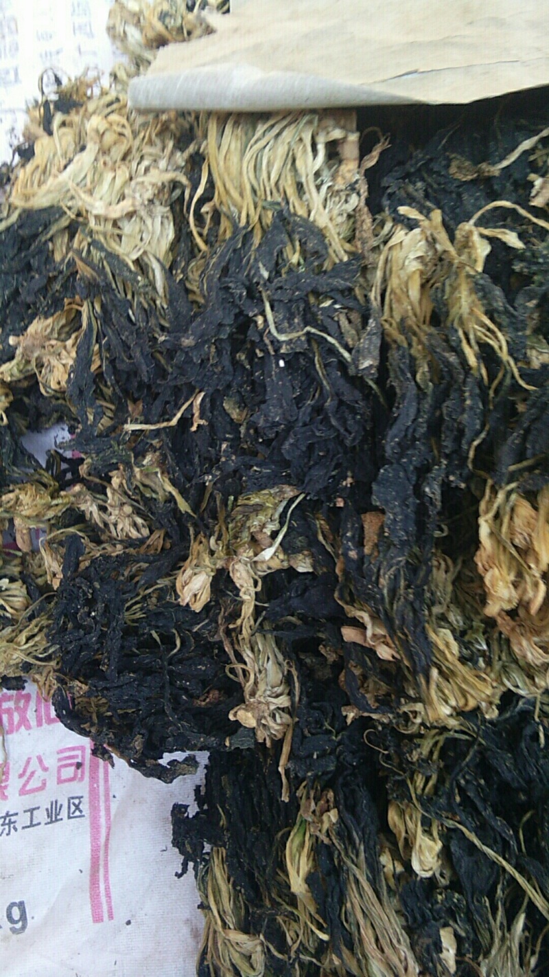 脱水白菜干