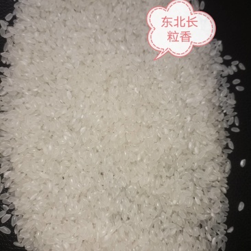 东北大米