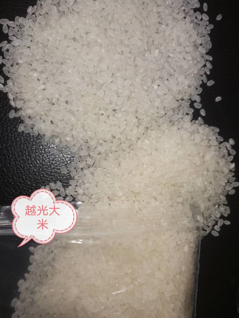 东北大米