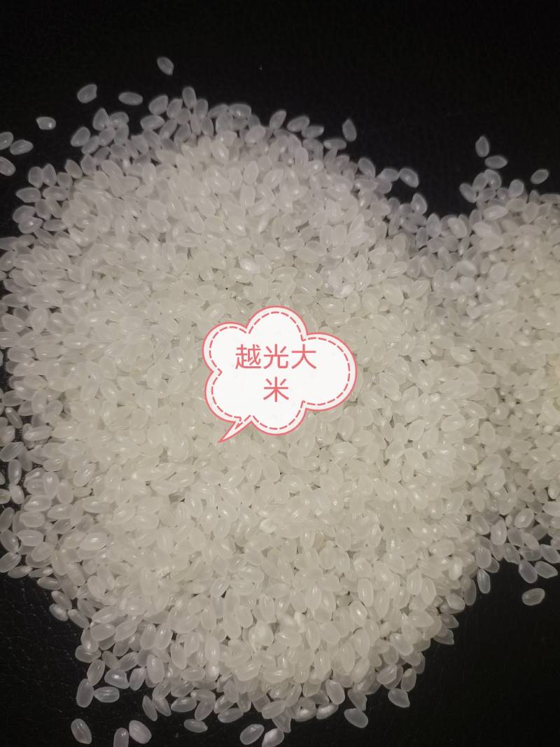 东北大米