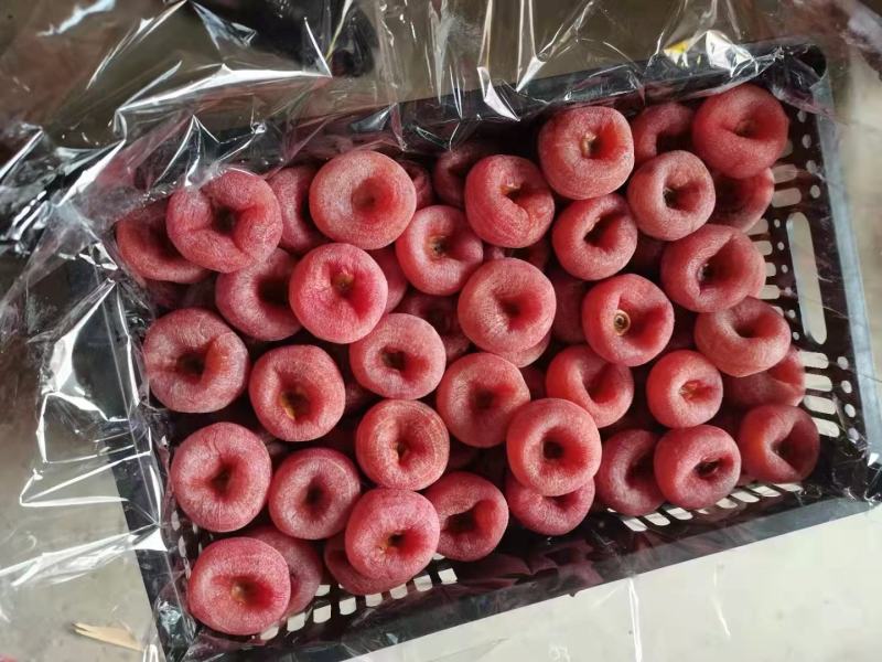柿饼圆饼柿饼水晶柿饼干饼大量上市有货便宜大量上市