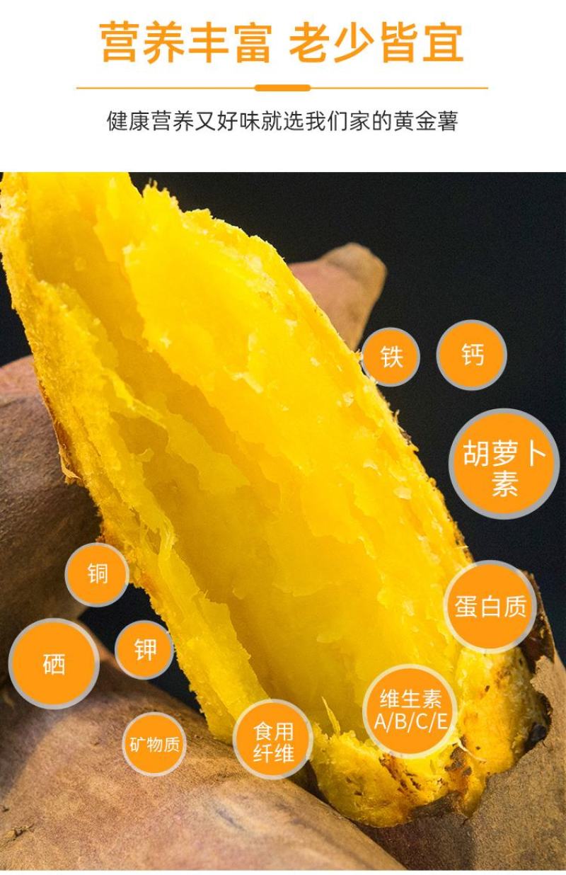 正宗玛莎莉辽北康平农家特产红毛薯黄金薯