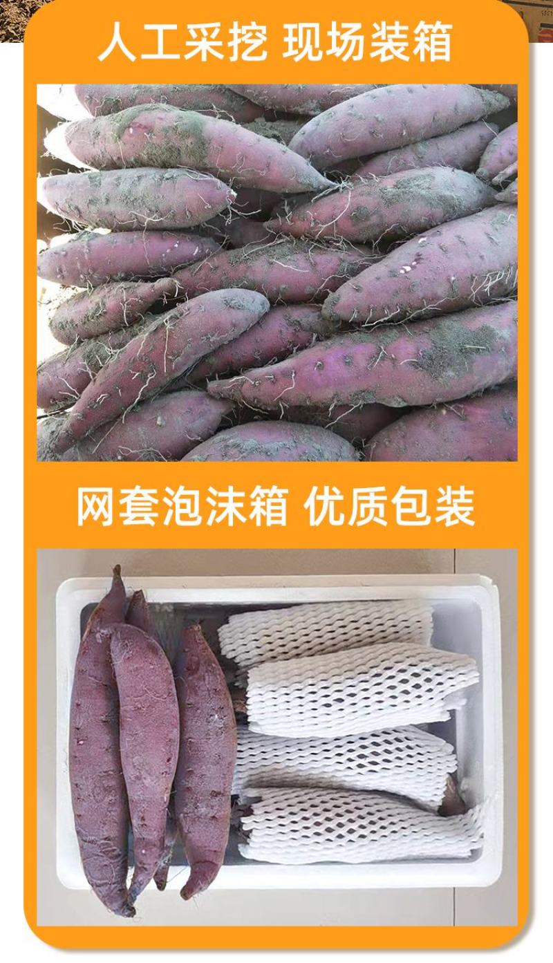 正宗玛莎莉辽北康平农家特产红毛薯黄金薯