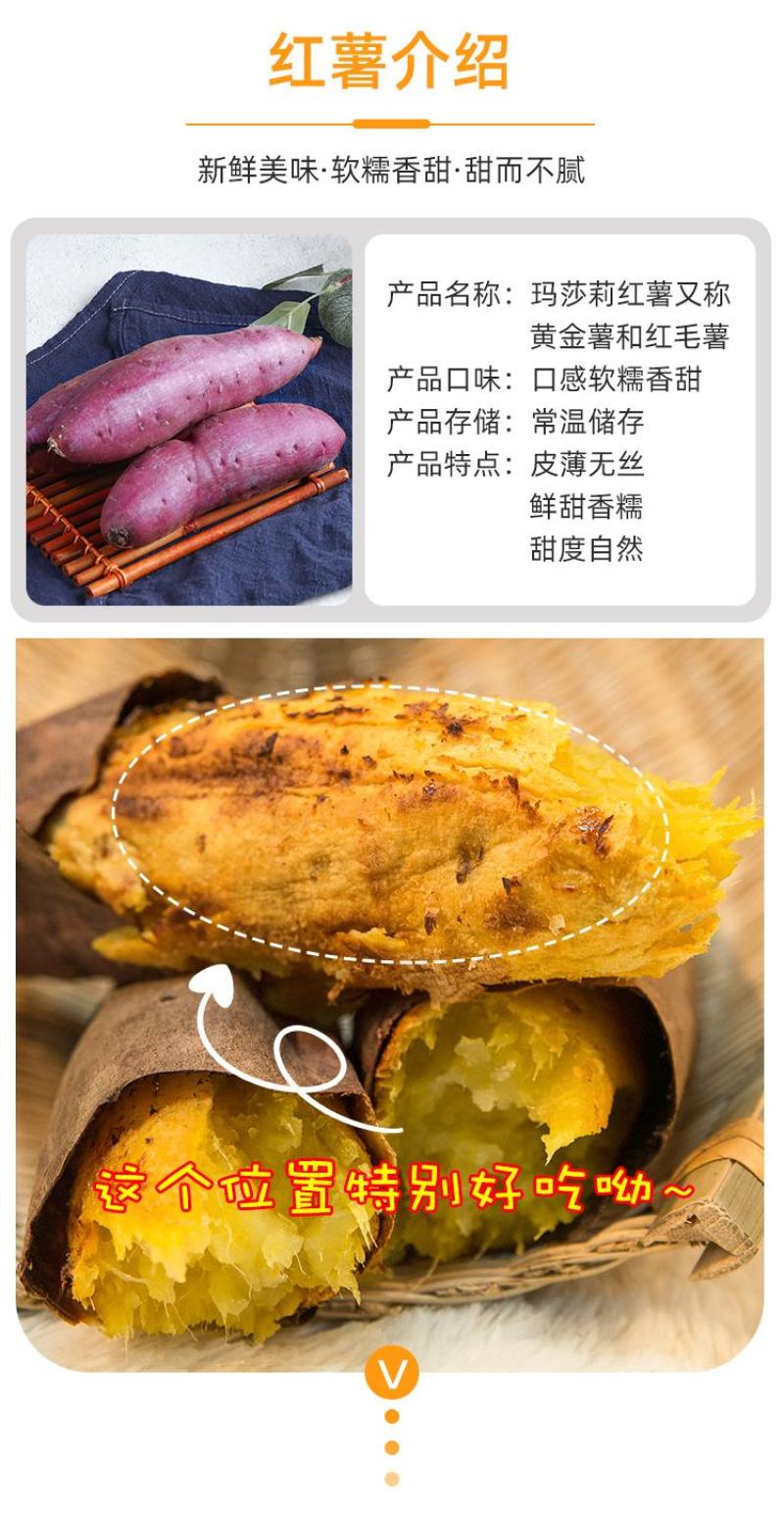 正宗玛莎莉辽北康平农家特产红毛薯黄金薯