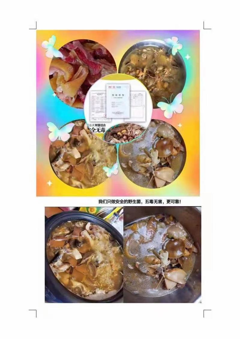 野生菌（干货）