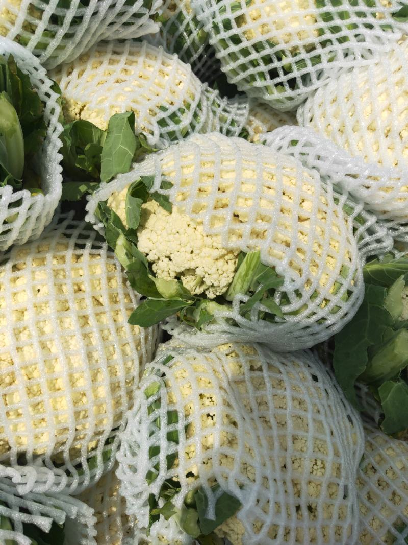代购代销各种疏菜，需要的老板联系