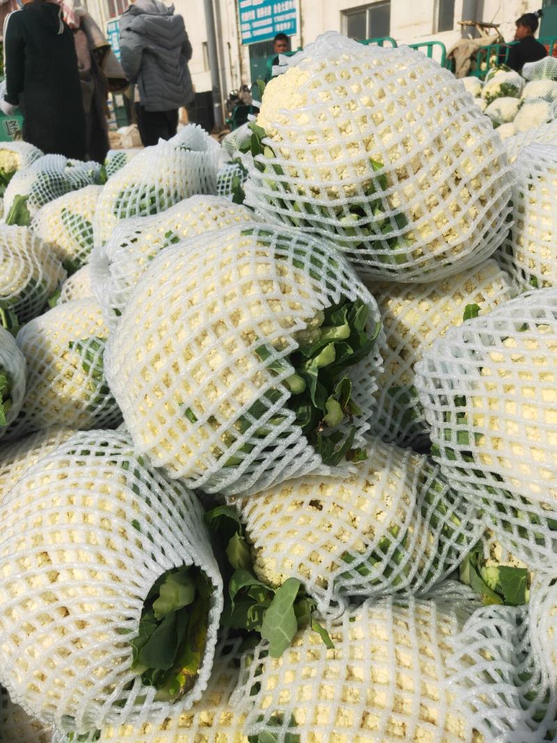 代购代销各种疏菜，需要的老板联系
