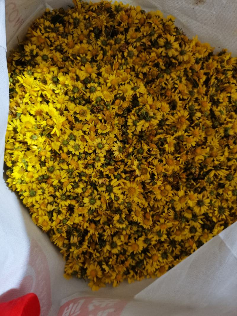 野生菊花存手工採摘有需要的联系我价格给力
