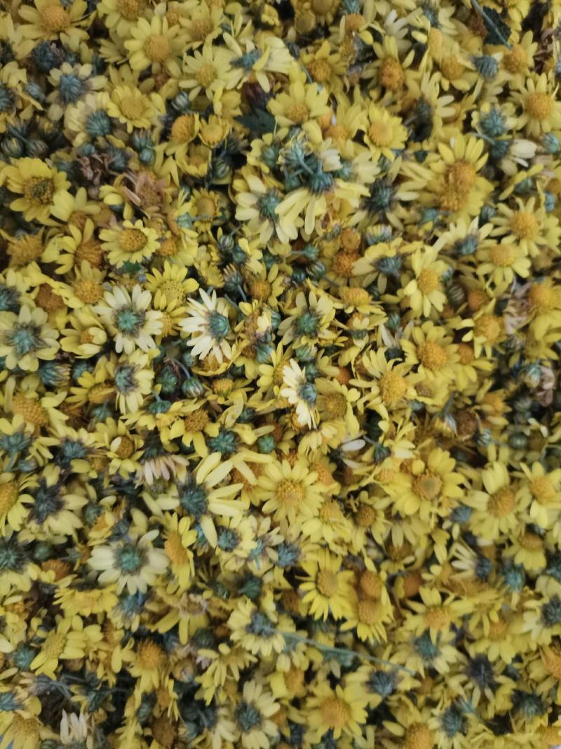 野生菊花存手工採摘有需要的联系我价格给力