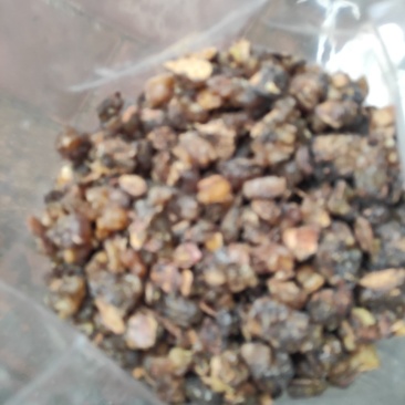 点滴园进口乳香1000克包邮
