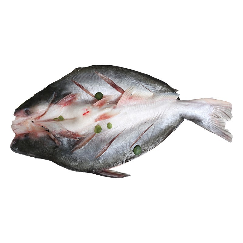 百味巴沙990蝴蝶开背500-700