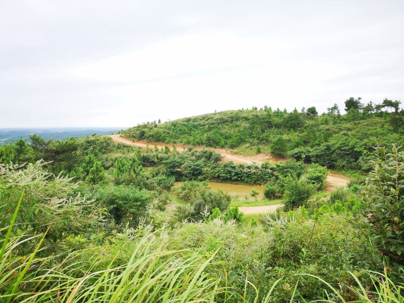 山地出租