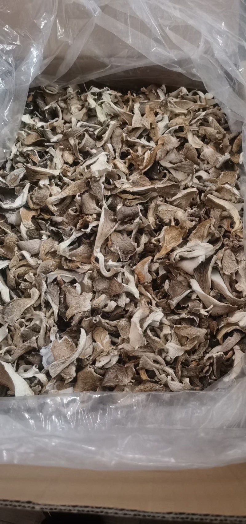 平菇平菇丝平菇干产地直销性价比高干净净重