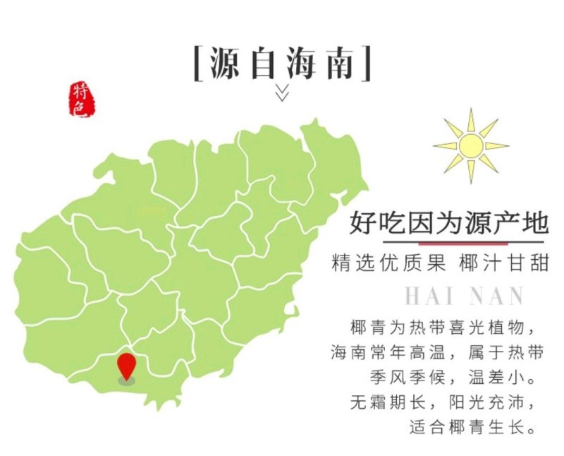 【包邮】海南文昌老椰子毛椰特大果批发毛椰椰皇包物流商用果