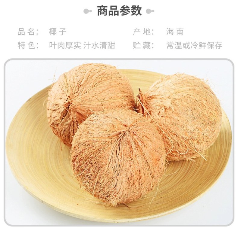 【包邮】海南文昌老椰子毛椰特大果批发毛椰椰皇包物流商用果