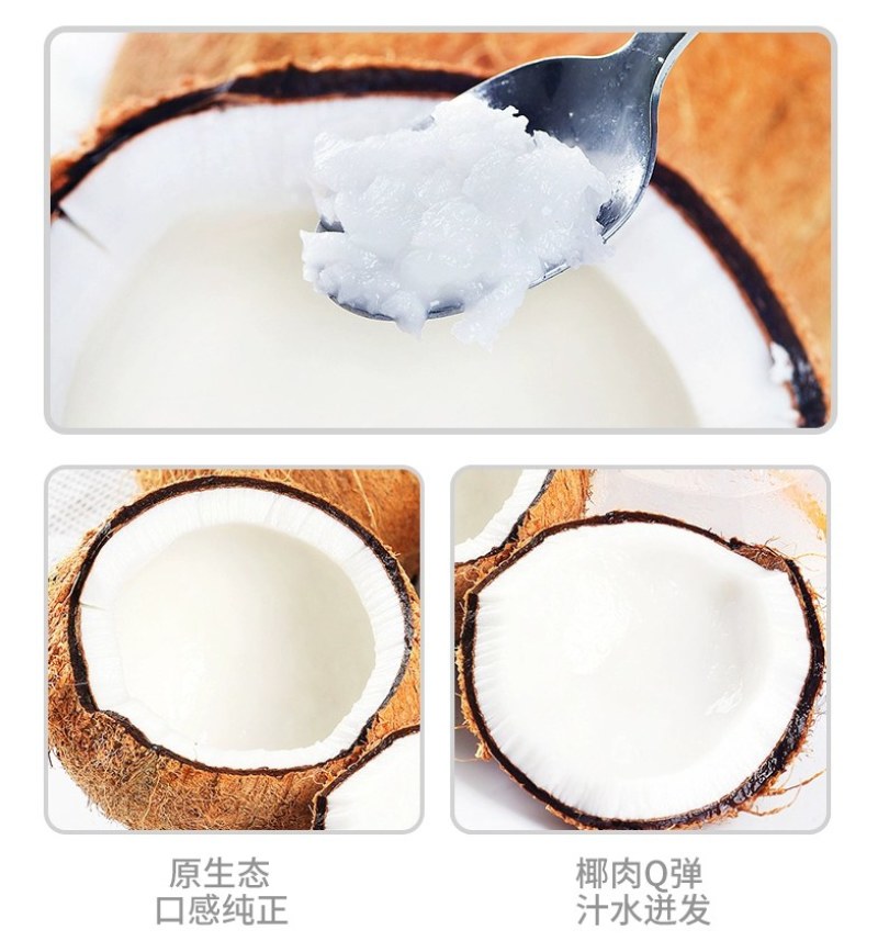 【包邮】海南文昌老椰子毛椰特大果批发毛椰椰皇包物流商用果
