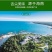 【包邮】海南文昌老椰子毛椰特大果批发毛椰椰皇包物流商用果