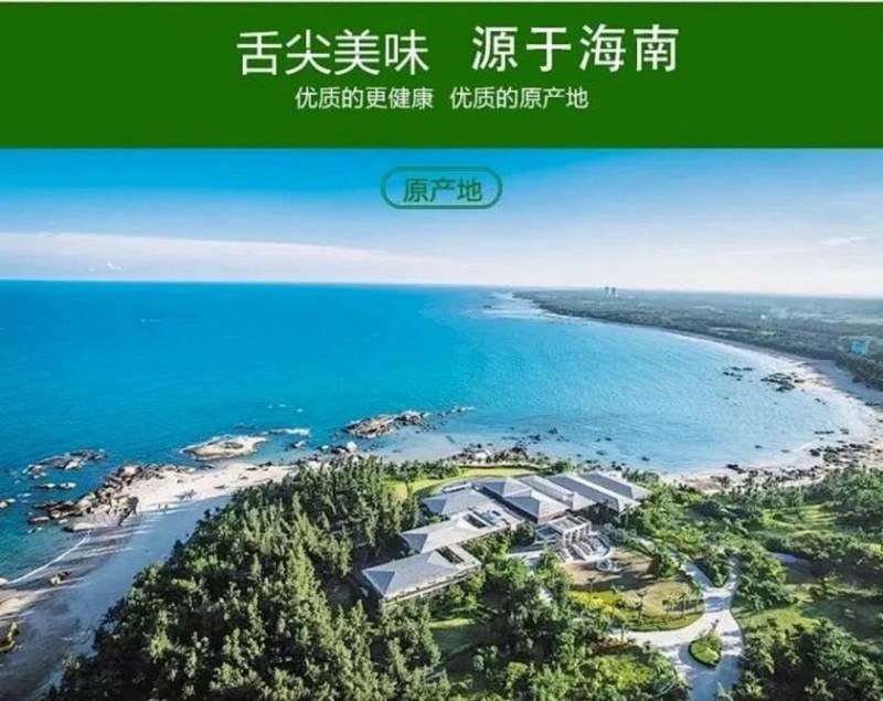 【包邮】海南文昌老椰子毛椰特大果批发毛椰椰皇包物流商用果