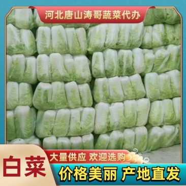 北京三号大量出售场地直销我们提供一条龙服务